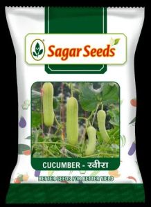 Cucumber Seed - CU1 (White)