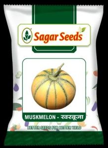 Muskmelon Seed - MM1