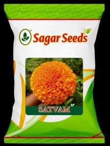 Satvam F-1 Hybrid Marigold Seeds