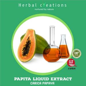 CARICA PAPAYA, Packaging Size : 5Kg, 10Kg, 25Kg, 35kg