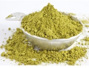 Gymnema Sylvestre Powder, Packaging Size : 25kg, 40kg