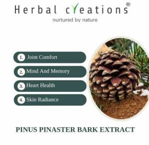PINUS PINASTER (PINE) BARK