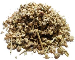 Tribulus Terrestris (Gokhru)