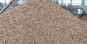 Mustard Husk Pellets