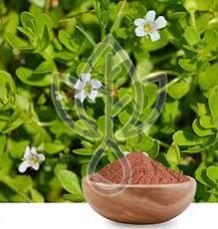 Bacopa Monnieri Powder, Color : Light Brown, Purity : 100%