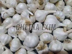 a Grade Garlic, Color : White, Form : Whole Cloves