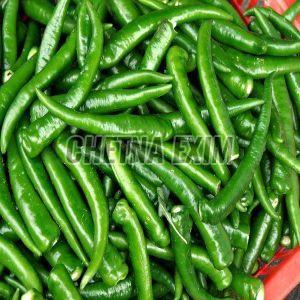 Common Fresh Green Chilli, Packaging Type : Carton