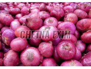 Natural Fresh Red Onion, Form : Whole, Packaging Type : Gunny Bag