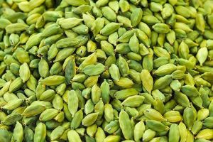 7mm Cardamom