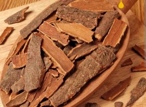 Natural Cinnamon Stick, Color : Brown, Packaging Size : 25Kg