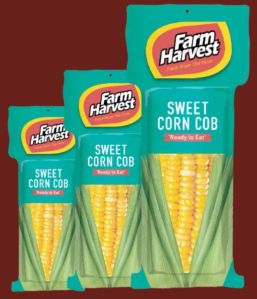 Farm Harvest Sweet Corn Cob