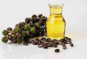 Organic Black Castor Oil, Color : Yellow, Form : Liquid