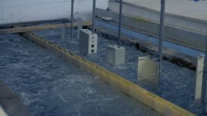 Anodizing Services