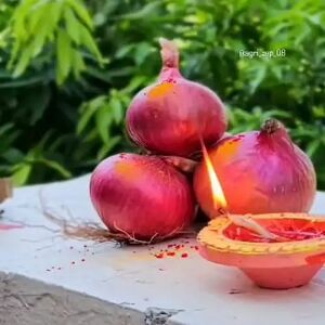 A Grade Red Onion