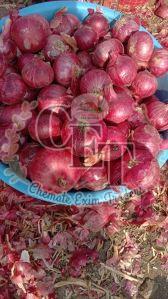 fresh red onion