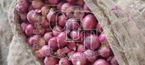 Natural Red Onion, Storage Tips : Dry