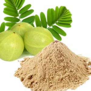 Organic Amla Powder, Color : Light Brown, Packaging Size : 25-50kg