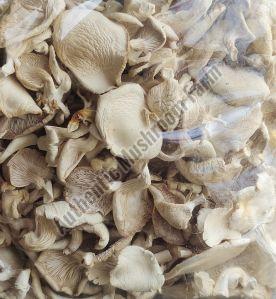 dried oyster mushroom