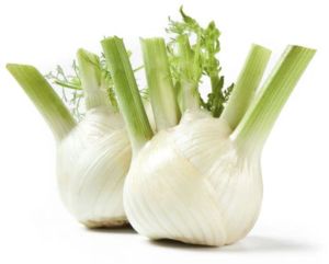 Fennel Herb