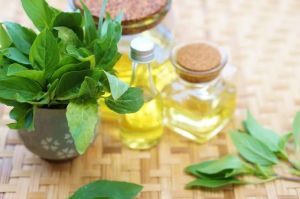 Sweet Basil Oil