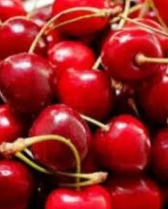 Fresh Red Italian Cherry