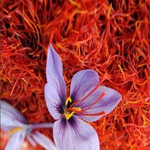 Natural Kashmiri Saffron Fresh, Form : Thread