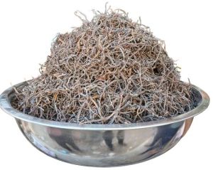 Amber Dried Sangri, Packaging Type : Carton
