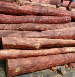 red sandalwood logs