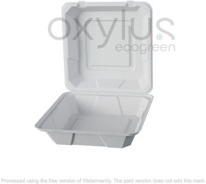 Sugarcane Bagasse Clamshell  9x9 - Single Compartment