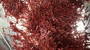 kashmiri saffron