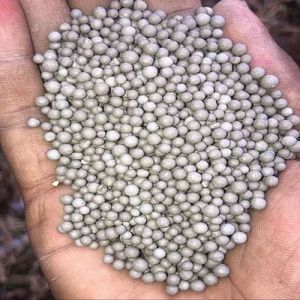 Light Grey Bentonite Granules