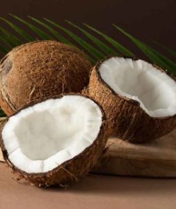 Fresh Coconut for Culinary, Cosmetic