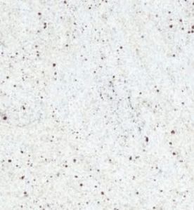 Kashmir White Granite Stone Slabs