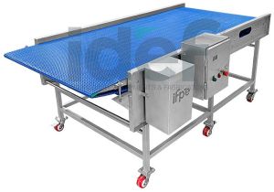 IQF INFEED CONVEYOR