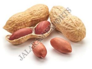 Organic Shelled Peanuts, Color : Brown