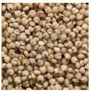 Sorghum Seeds, Color : Brown Dried, Packaging Size : 25kg, 50kg