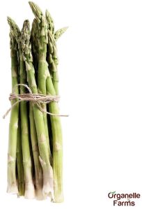 Fresh Asparagus 100 Gms (Imported)