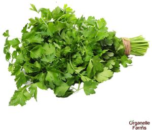 Organelle Farms Fresh Coriander Leaves-100 Gms