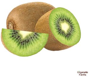 fresh kiwi