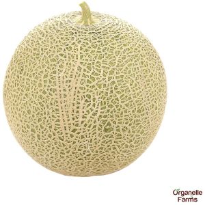 Fresh Musk Melon