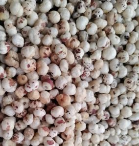 Murra Makhana, Color : White