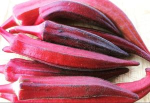 A Grade Red Okra