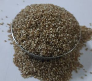 Organic Kodo Millet 10%, Purity : 95%, Packaging Size : 5-25kg