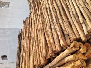 7 Feet Brown Eucalyptus Pole