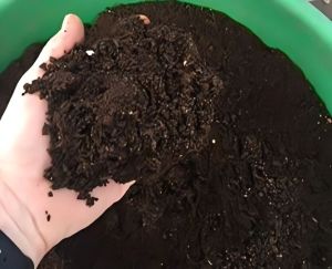 vermi compost