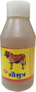 cow urine
