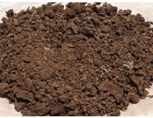 cow dung powder