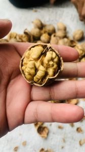 Kashmiri Walnut Kernels
