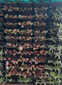 Gardening Services