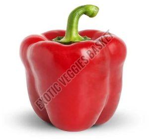 Fresh Red Capsicum for Cooking